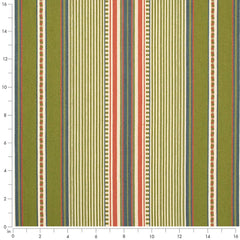 Charlotte Terrace Grass Outdoor/Indoor Upholstery Fabric