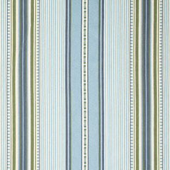 Charlotte Terrace Grass Outdoor/Indoor Upholstery Fabric